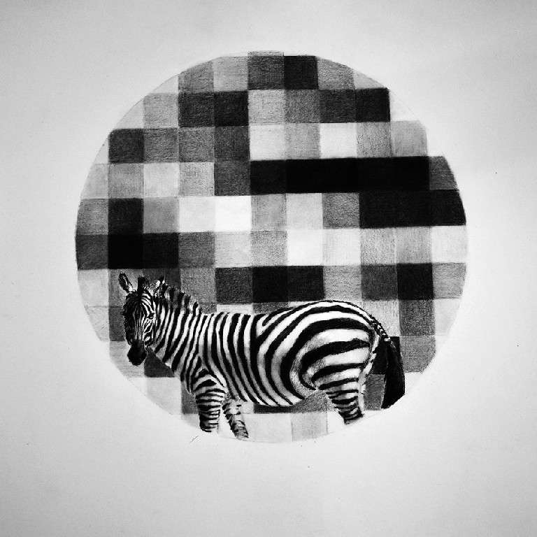 IMAGEN DEMOCRÁTICA. Daniel Madruga. Carboncillo sobre cartulina, 30 x 30 cm. 2019