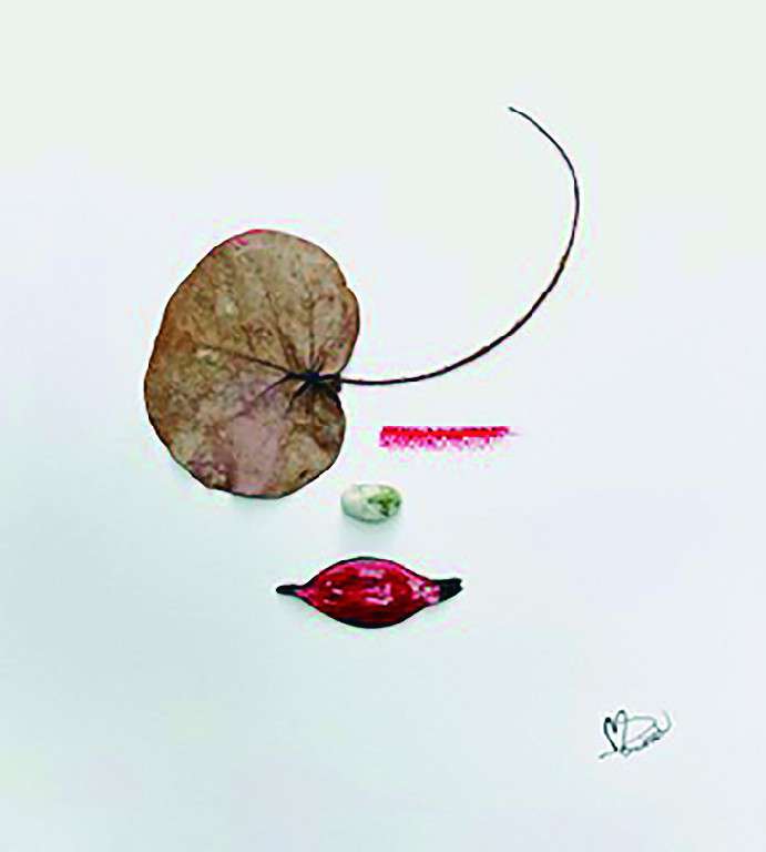 LA MAGIA DE UN ENCUENTRO. Mercè Domènech Ferret. Collage sobre papel, 4 obras de 40 x 40 cm. 2019