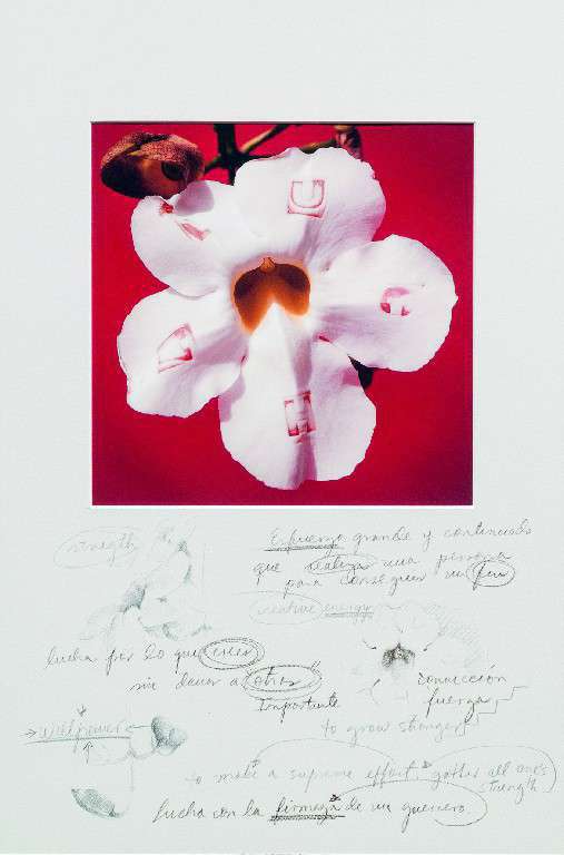 LUCHA. De la serie Lo que no te mata te fortalece. Glenda Salazar. Impresión Inktjet en papel fotográfico Canson 300g y crayón, 2013-2021.